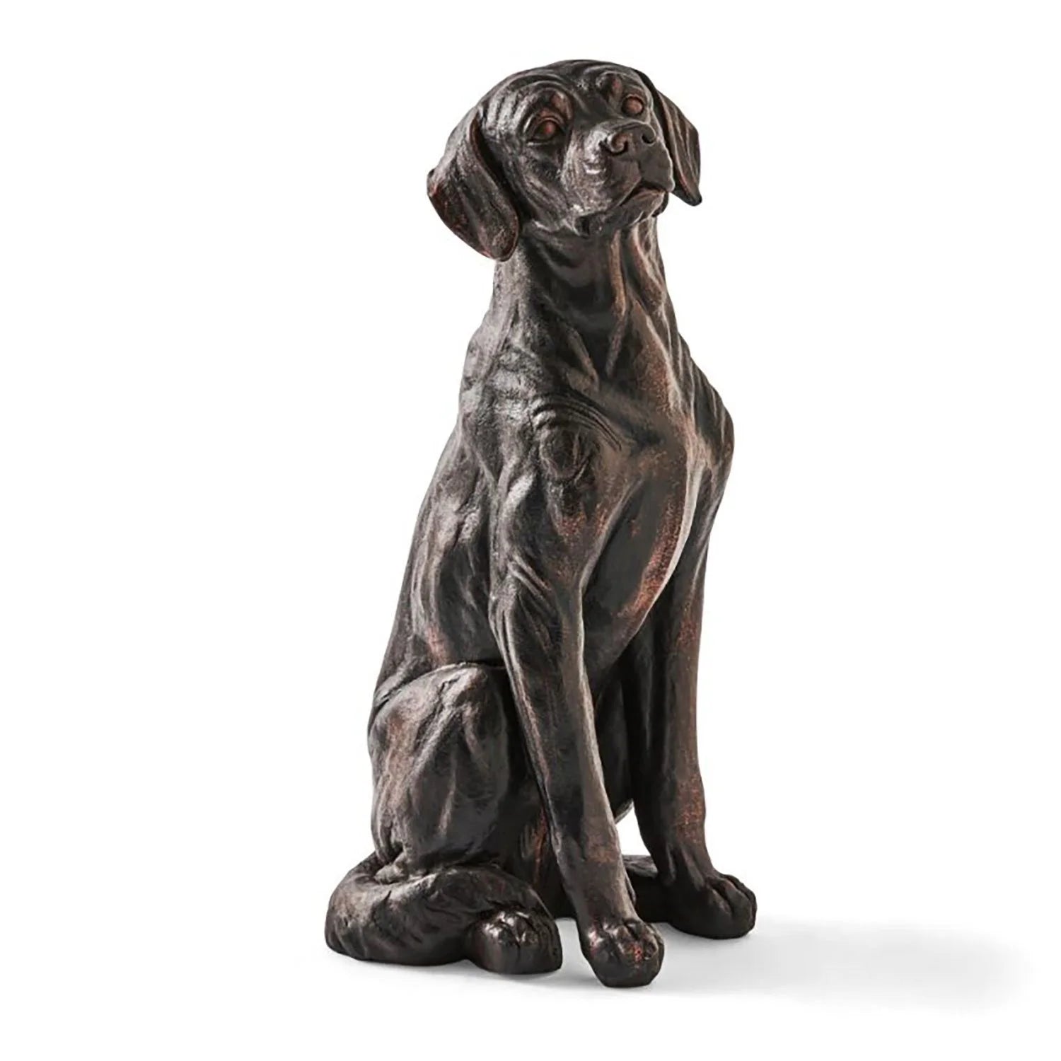 Member's Mark Sitting Labrador Dog Statue - Bellso